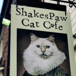 Shakespaw Cat Cafe