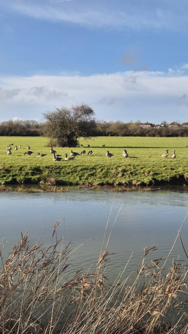 12 Of The Best Walks in Milton Keynes 2026