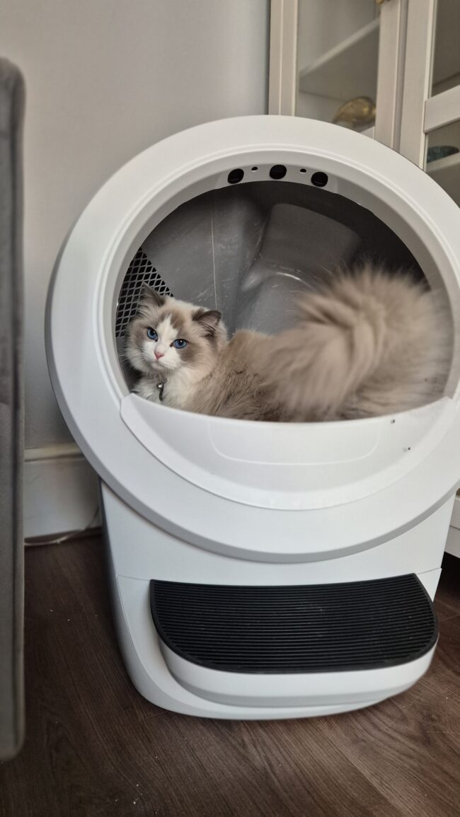 Litter-Robot 4 review