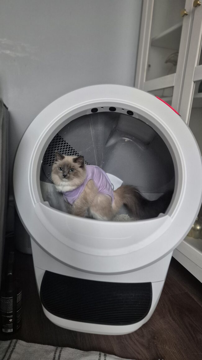 Litter-Robot 4 review
